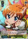 DD/WE17-05 S-R クーベル・エッシェンバッハ・パスティヤージュ(ホロ)