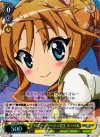 DD/WE17-07 S-C パスティヤージュ君主 クーベル(ホロ)