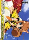 DD/WE17-18 CC ガーネットスパーク
