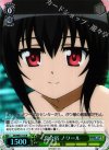 DD/WE17-19 S-R 夏合宿 ノワール(ホロ)