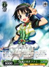 DD/WE17-28 C 波乗り勇者 ナナミ