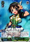 DD/WE17-28 S-C 波乗り勇者 ナナミ(ホロ)