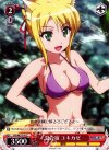 DD/WE17-41 C 夏合宿 ユキカゼ