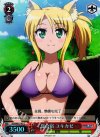 DD/WE17-41 S-C 夏合宿 ユキカゼ(ホロ)