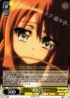  DD/WE23-03 R “追憶”フィー 