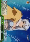 【傷】道標(ホロ)