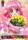  DD/WE23-P01 PR 素敵な1日 ミルヒ 