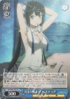  DDM/S88-T09 TD 1日の始まり ヘスティア 