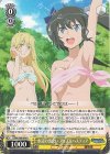  DDM/S88-004 R 水辺の出会い アイズ&ヘスティア 
