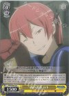  DDM/S88-016 C 酒の誘惑 ロキ 