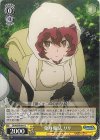  DDM/S88-018 C 変身魔法 リリ 
