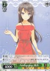  Gby/WS02-T18 TD Anniversary 麻衣 