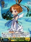 DG/SE17-05 S-C 天界からの贈り物 シシリー