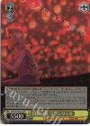 Dds/S104-012S SR 冒険の旅 ラプンツェル