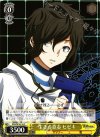  DS2/SE16-16 C 生きる意志 ヒビキ 