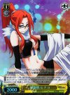 DS2/SE16-19 S-C 姉御肌 ヒナコ(ホロ)
