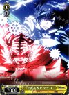  DS2/SE16-20 C ヒビキ&ビャッコ 