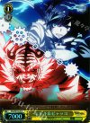  DS2/SE16-20 S-C ヒビキ&ビャッコ(ホロ) 