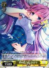 DS/W46-006 U 求め合う心 ひまり