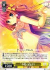 DS/W46-008 C 水着のひまり