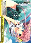  DS/W46-014 CR 風のいたずら 