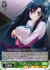 DS/W46-018 R つながるこころ 遥月