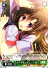  DS/W46-023 C ドキドキハプニング 遥月 