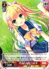 DS/W46-044 C 常夏の楽園 乃絵里
