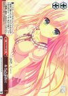 DS/W46-047 CC 本当の家族に