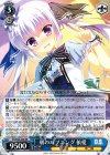  DS/W46-048 RR 朝のハプニング 依愛 