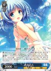  DS/W46-051 R 水着の天 