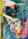 DS/W46-014R RRR 風のいたずら