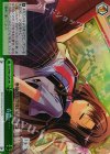 DS/W46-029R RRR 春陽……