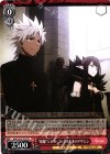 APO/S53-T02 TD “暗躍”シロウ・コトミネ＆赤のアサシン