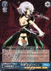  APO/S53-066 RR “殺戮”黒のアサシン 