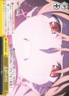 FGO/S75-024 CC 女神の矜持