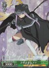 FGO/S75-029S SR みなぎる力 アナ