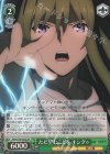 FGO/S75-032S SR ただ望むことを キングゥ