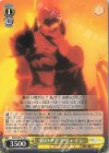 FGO/S87-013 U 鉄のアグラヴェイン 