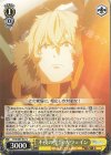  FGO/S87-017 C 不夜の聖罰 ガウェイン 