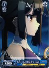  PI/SE18-31 C もう一人の魔法少女 美遊 