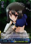  PI/SE24-45 S-C “セイバー”インストール 美遊(ホロ) 