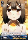 PI/S40-069 U “大粒の涙”美遊