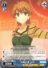  PI/SE36-25 C 自由な虎 大河 