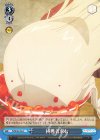  PI/SE36-29a C 挑戦者求む 