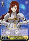 FT/S09-003S SR 超近接タイプ エルザ
