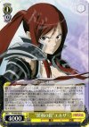 FT/S09-004 R “黒羽の鎧”エルザ