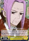  FT/S09-011 U 治癒魔導士 ポーリュシカ 