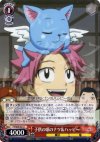 FT/S09-061 U 子供の頃のナツ&ハッピー