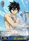 FT/S09-078S SR ウルの弟子 グレイ